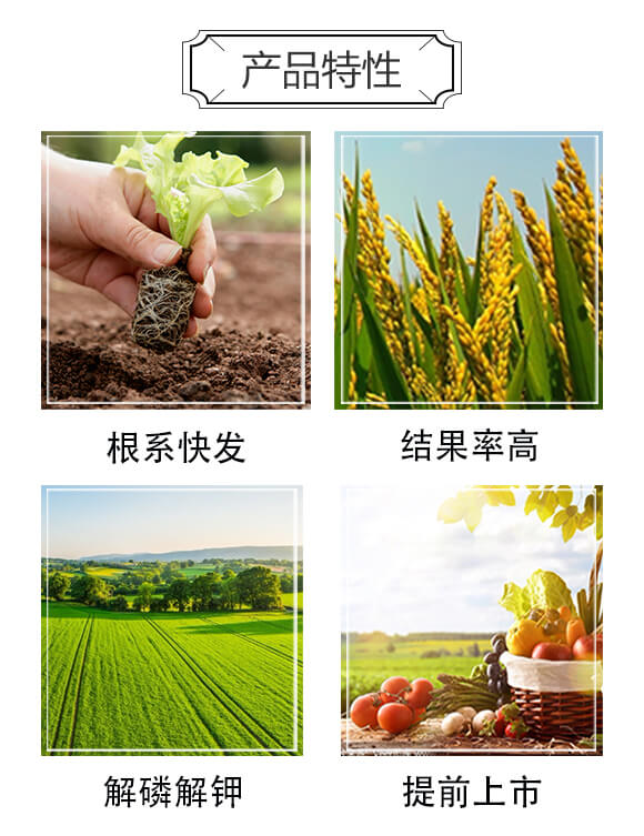 �VԴ�S�����-ϲ�m��_03