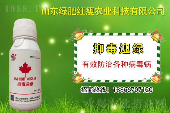 ���β�������Ҳ���ð������ֶ�ӭ�G�����β�������