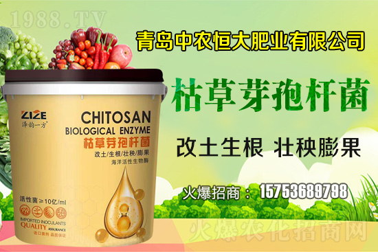 枯草芽孢桿菌真的是“菌中”嗎？枯草芽孢桿菌具體作用你了解嗎？