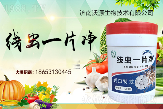 ���Y(ji��)���x�y���������ξ��x�����xһƬ����