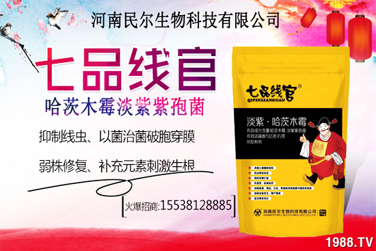 ѩ����r������Xһ����ѩ�ҷNֲǰ�����ӣ�