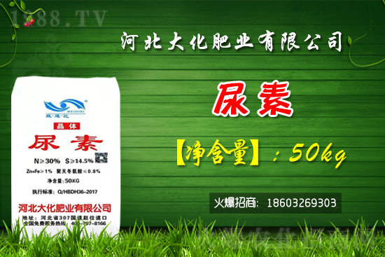 �t��������������Xһ�����Nֲǰ�������