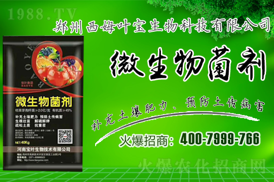 �����m��¶��������߲�Ʒ�N����Щ������Щ�Nֲע�����(xi��ng)��