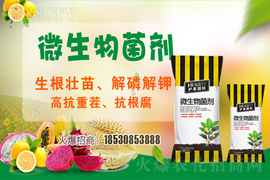 ��ݮ�����F(xi��n)���l���l(f��)������ҪԴ��ʲô������