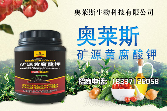 �`֥���a(ch��n)����(ji��)��ʲô�r(sh��)�����`֥���϶�ľ�������༼�g(sh��)��