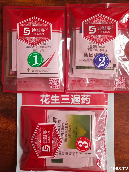 ��������ˎ1