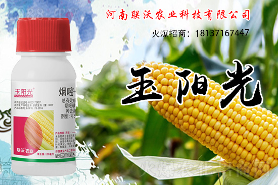 ���׳��ݞ�ʲô�x����������������݄���δ���