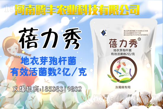 �����JƷ�N����Щ�������J�ķNֲע�����(xi��ng)