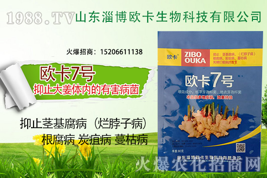 �W�������ٺ�1988.TV������(sh��)�F(xi��n)��I(y��)�v�w��(m��ng)��