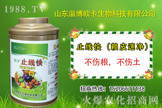 �W�������ٺ�1988.TV������(sh��)�F(xi��n)��I(y��)�v�w��(m��ng)��