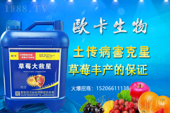 �W�������ٺ�1988.TV������(sh��)�F(xi��n)��I(y��)�v�w��(m��ng)��