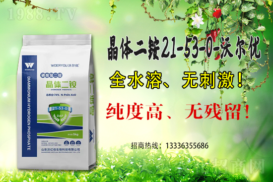���@�߃r(ji��)�����ڇ�(gu��)��(n��i)���@�r(ji��)��������?q��ng)?b��o)��6��15��
