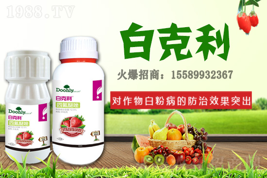 ���|���m(x��)�s1988.TV����(zh��n)�Ժ����P(gu��n)ϵ�������_�A��