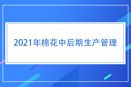 2021���޻��к������a����ָ����Ҋ