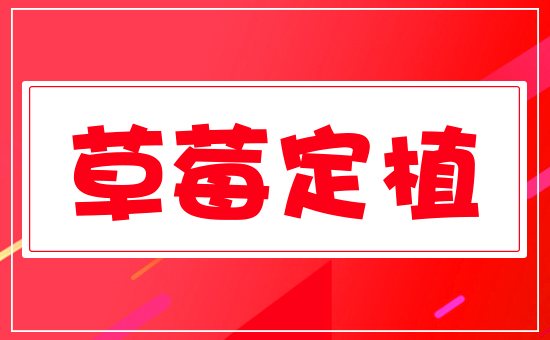 ��ݮ��ֲ