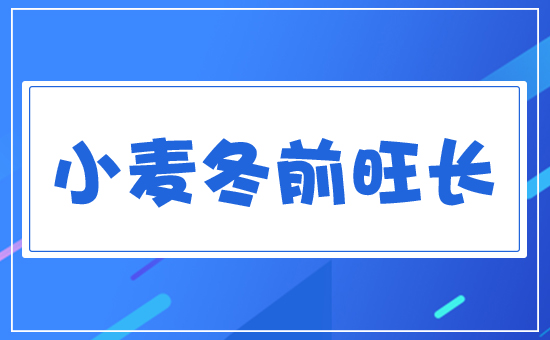 С����ǰ���L