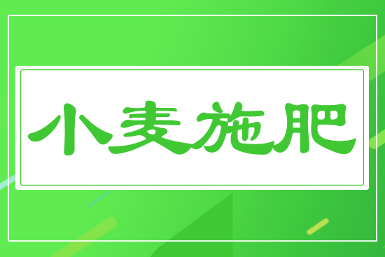 С��ʩ��