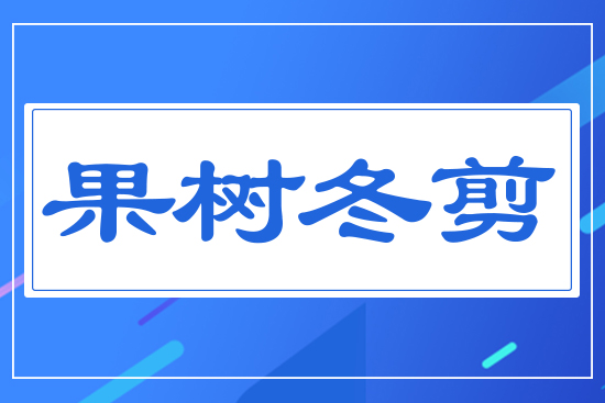 ���䶬��
