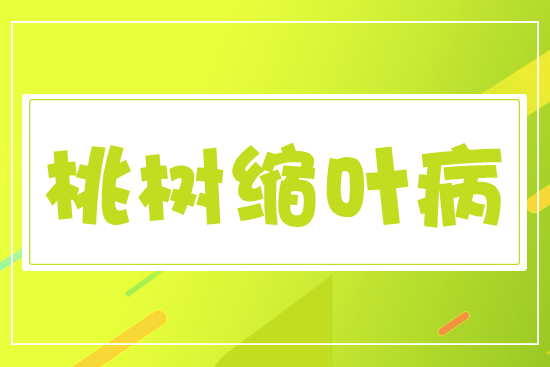 �Ҙ�s�~��