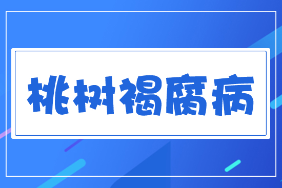 �Ҙ�ָ���