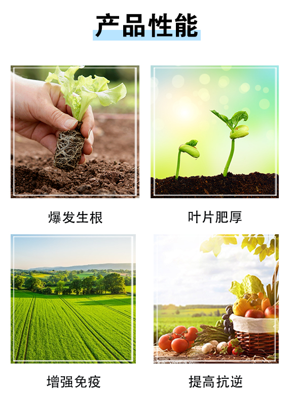 ���ϚW���r(n��ng)�I(y��)�Ƽ����޹�˾833074_03