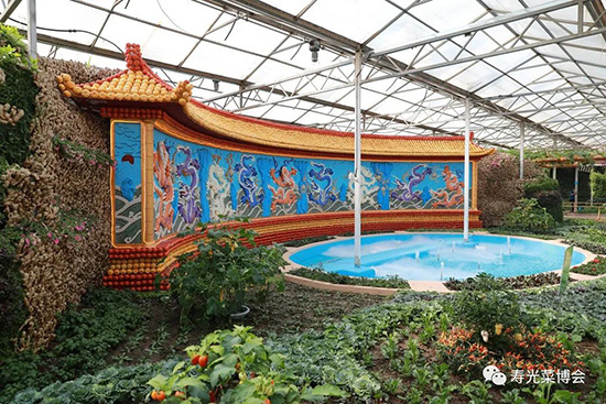 �ڶ�ʮ���É۹�˲���4