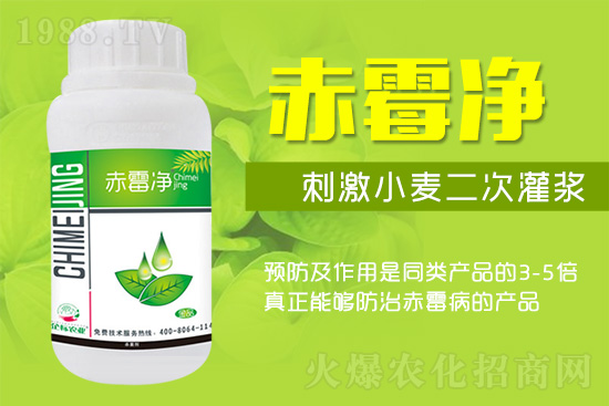 緊急提醒：未來(lái)十天是小麥赤霉病防治關(guān)鍵期！務(wù)必抓住！