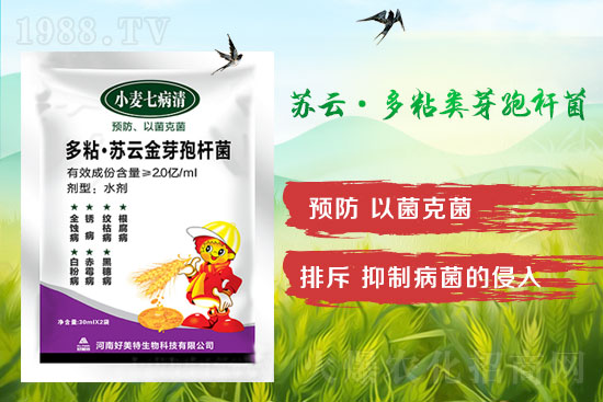 四月小麥赤霉病多發(fā)，不要錯過防治時間！
