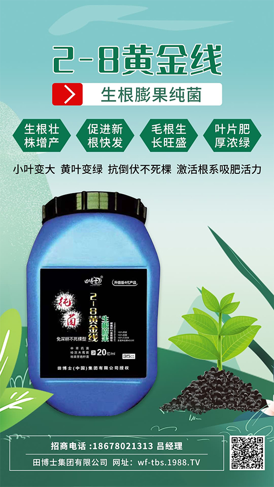 根是肥的嘴，萬(wàn)物生長(zhǎng)靠根系！作物爆發(fā)生根試試這一招! 