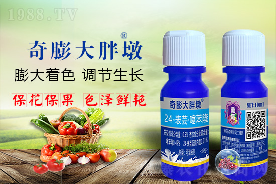     ������Ҫ�߮a(ch��n)��������P(gu��n)�I��������(sh��)���졢�D(zhu��n)ɫ�����u��������ڵĮa(ch��n)����Ʒ�|(zh��)�����������S��Ĺ��r(n��ng)���r(n��ng)������ӳ�Լҵ���������ס���������������������������������ܛ���չ�����r�l���l(f��)����