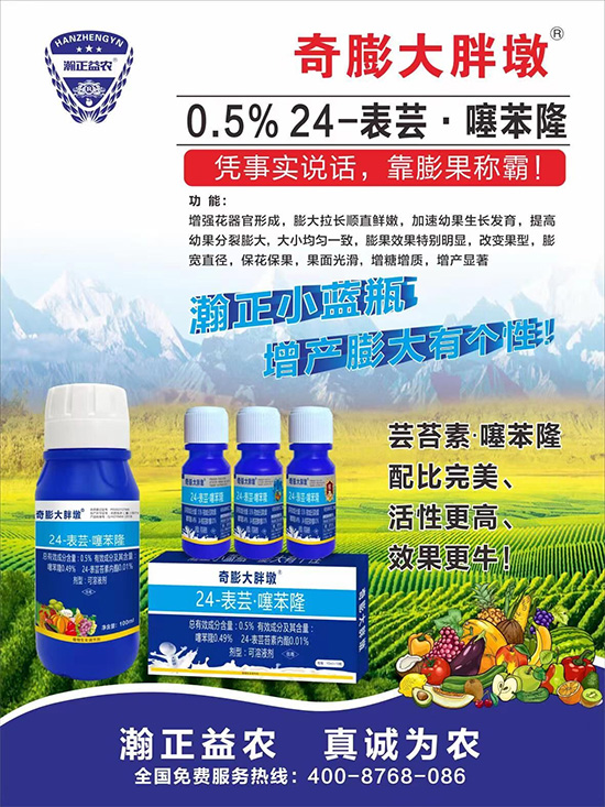     ������Ҫ�߮a(ch��n)��������P(gu��n)�I��������(sh��)�������D(zhu��n)ɫ�á��u��������ڵĮa(ch��n)����Ʒ�|(zh��)���С������S��Ĺ��r(n��ng)���r(n��ng)������ӳ�Լҵ���������ס���������������������������������ܛ���չ�����r�l���l(f��)����