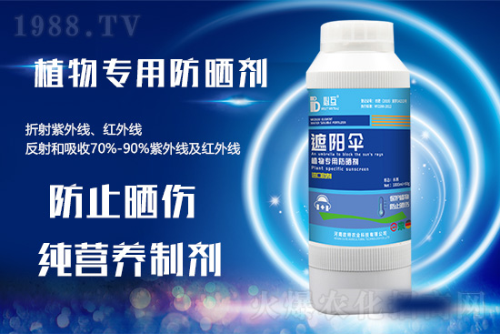 �ߜ������u������������E�[���쿴�������ˆ�? 