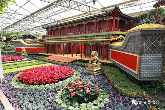 �ڶ�ʮ���É۹�˲���2