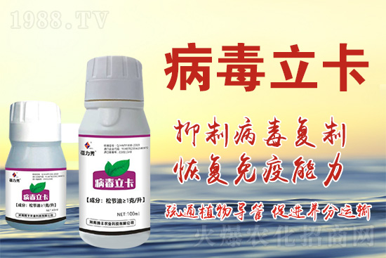 �ƽ�ֲ�ﲡ�������y�}�����ٻ֏�(f��)���C���@��ˎ���Ͼ͹�����