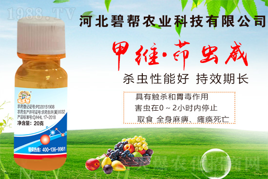     �ܶ����ڷNֲ�߲˕r(sh��)��(j��ng)���ܵ������x��Σ���������x��ʮ�ֻ����߲��ϵ���Ҫ���x��Σ���߷���5����Ѯ-6����Ѯ�������x����(d��o)���߲˵�Ʒ�|(zh��)�ͮa(ch��n)����(y��n)�ؽ�����