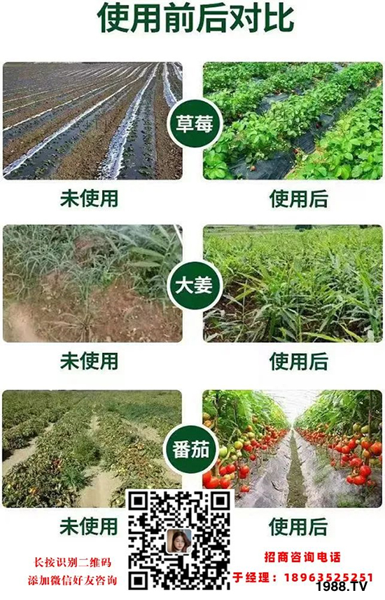 �֠���(y��u)����Ƽ��������������޹�˾14