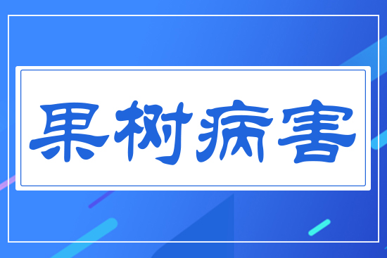 ���䲡��
