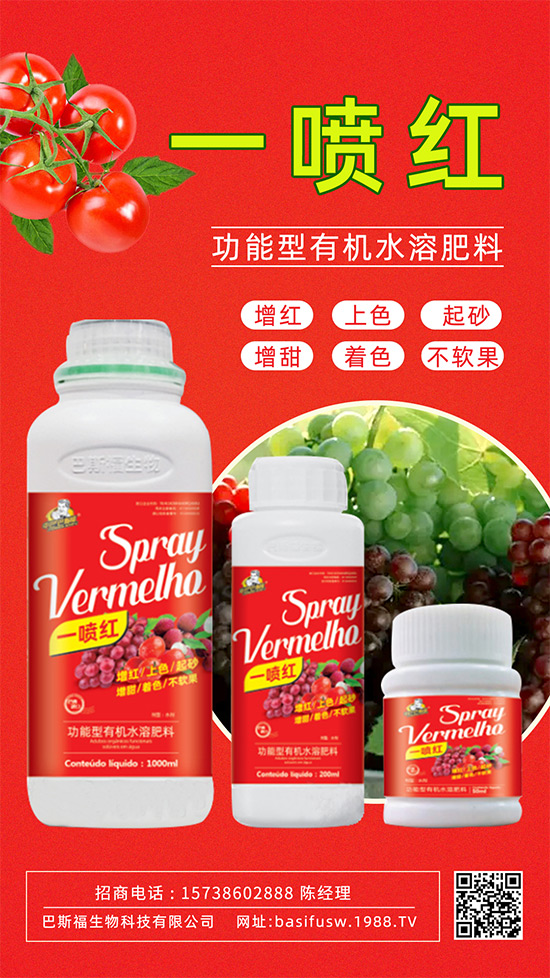 ����(sh��)�D(zhu��n)ɫ����������������������u(m��i)�r(ji��)�ߣ���ǰ������