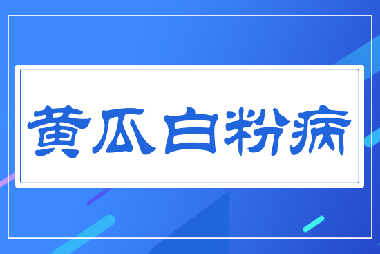 �S�ϰ׷۲�
