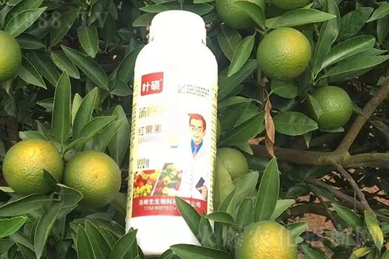 �t���ء�ֻ���D(zhu��n)ɫ�������D(zhu��n)ɫ�����ߣ��߼t���ó���