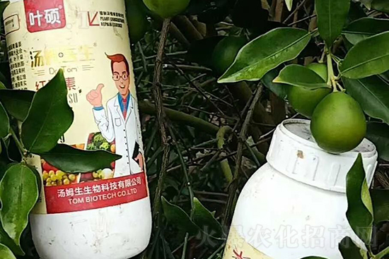 �t���ء�ֻ���D(zhu��n)ɫ�������D(zhu��n)ɫ�����ߣ��߼t���ó���