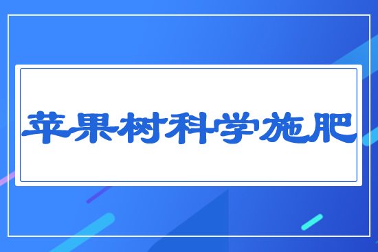 �O����ƌW(xu��)ʩ��