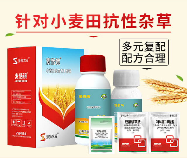 �����R-�S�՘�(l��)_02