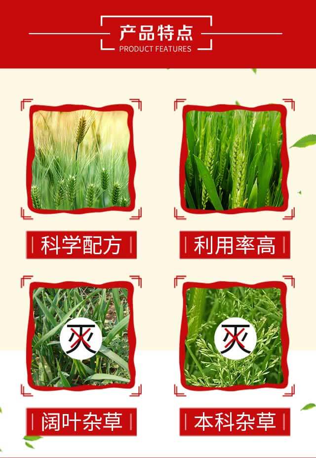 �����R-�S�՘�(l��)_03