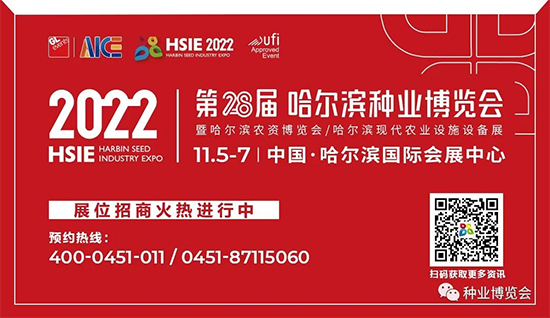 ��28�ù����I�N�I(y��)���[��9