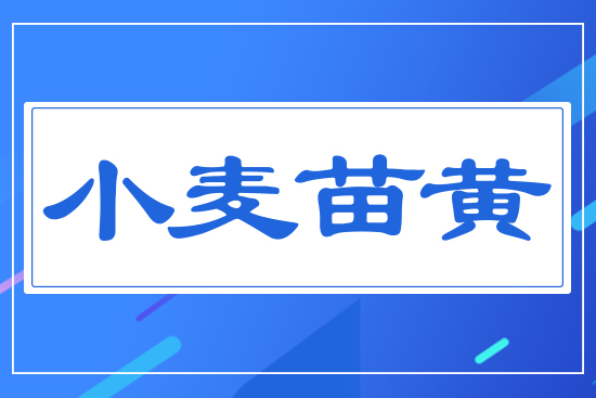 С�����S