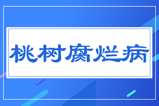 �Ҙ丯����