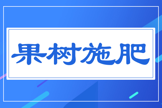 ����ʩ��