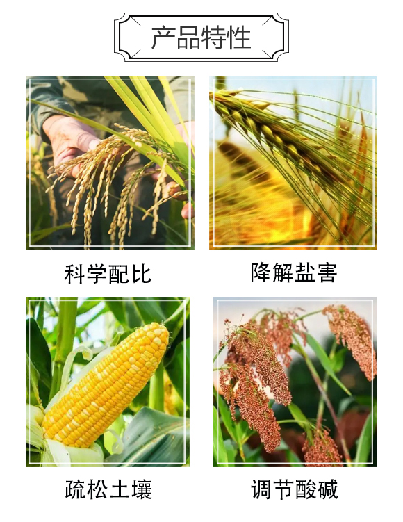 ��(zh��n)�}-��(gu��)��ʘI(y��)_03