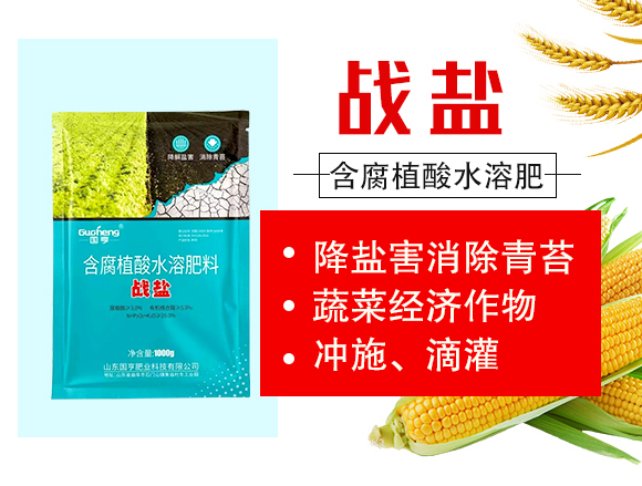 ��(zh��n)�}-��(gu��)��ʘI(y��)_02